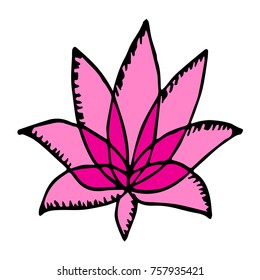 Lotus vector illustration. Doodle style. Design, print, logo, decor, textile, paper