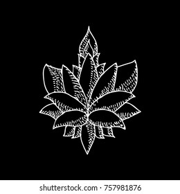 Lotus vector illustration. Doodle style. Design, print, logo, decor, textile, paper