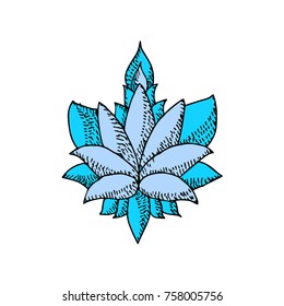 Lotus vector illustration. Doodle style. Design, print, logo, decor, textile, paper