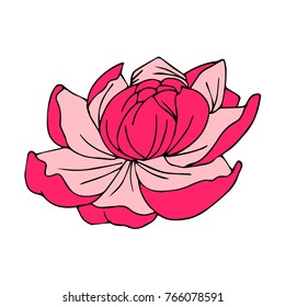 Lotus vector illustration. Doodle style. Design, print, decor, textile, paper
