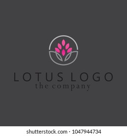  lotus vector illustration on background