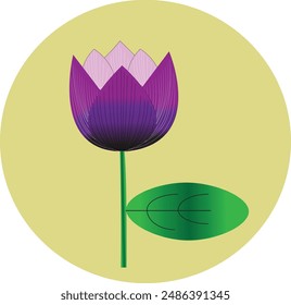 Eine Lotus Vektorgrafik Bild Illustration
