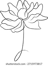 Ilustração de desenho de linha de vetor do Lotus