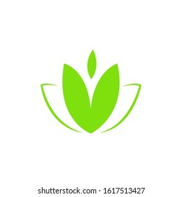 Lotus vector, logo design for spa aesthetic,cosmetic,beauty