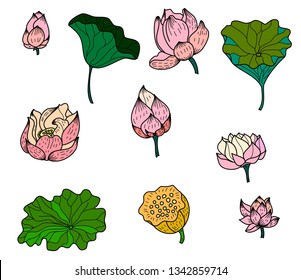 Lotus vector set for sticker and printing on white background.