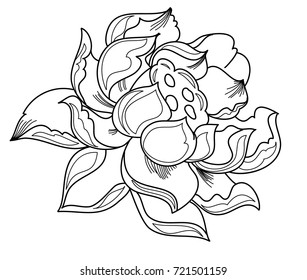 lotus vector for tattoo design.Traditional Japanese culture for printing and coloring book on background.