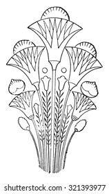 The lotus, vintage engraved illustration.
