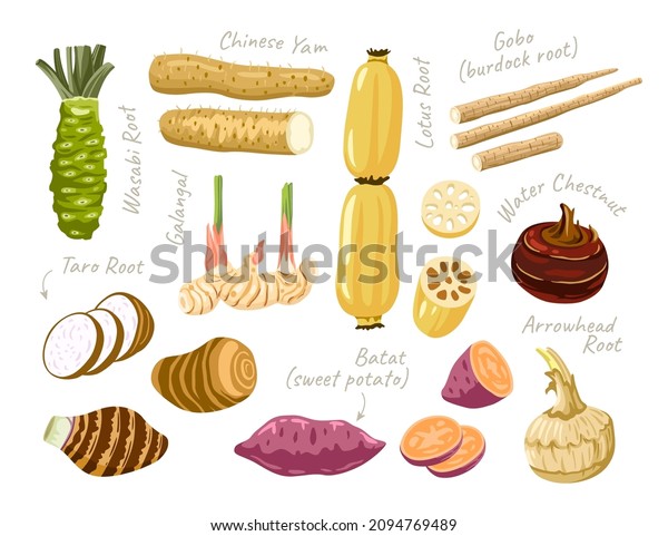 20,618 Taro Vegetable Images, Stock Photos & Vectors | Shutterstock