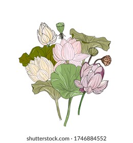 Lotus or water lilies bouquet. Elegant tropical flowers. Hand drawing isolated on white.