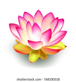 Lotus. Water lily. Drawing a realistic water lily. Vector image.