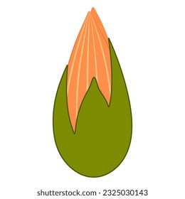 Lotus, water lily flower bud hand drawn illustration. Line art, drawing style design, isolated vector. Mid Autumn Festival floral, botanical element, beautiful Asian flora, blossom, bloom, plant