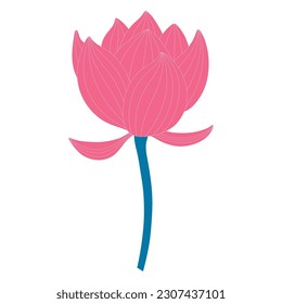 Lotus, water lily flower hand drawn illustration. Line art, drawing style design, isolated vector. Mid Autumn Festival floral, botanical element, beautiful Asian flora, blossom, bloom, plant