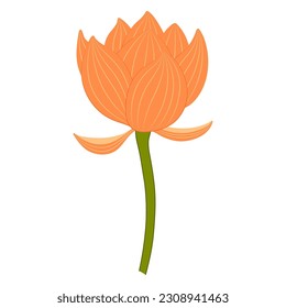 Lotus, water lily flower hand drawn illustration. Line art, drawing style design, isolated vector. Mid Autumn Festival floral, botanical element, beautiful Asian flora, blossom, bloom, plant