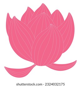 Lotus, water lily flower hand drawn illustration. Line art, drawing style design, isolated vector. Mid Autumn Festival floral, botanical element, beautiful Asian flora, blossom, bloom, plant