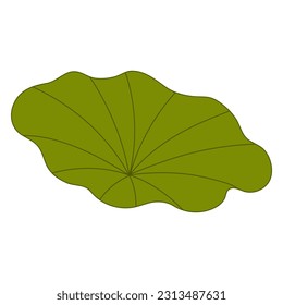 Lotus, water lily leaf hand drawn illustration. Line art, drawing style design, isolated vector. Mid Autumn Festival plant, botanical element, beautiful Asian flora