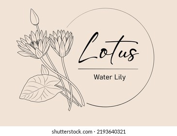 Loto, logotipo de Water Lily y arte en línea de ramo. Dibujo moderno minimalista para invitación, tarjetas, arte mural, tatuajes, joyería. Ilustración de vectores de vegetación rústica botánica de moda.