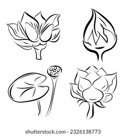 Lotus, water lily with scarlet flowers, buds and leaves,
Japanese traditional ink painting
 Eastern style sumie, ushun, gohua,
vector illustration.