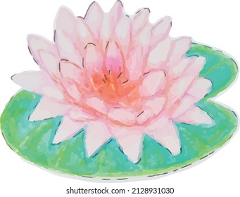  Lotus water plant flower nature clipart object pencil style line green 