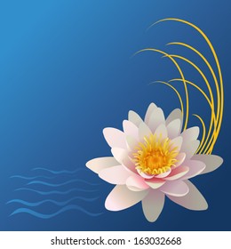Lotus and weave on blue background
