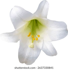 lotus white and bloom design