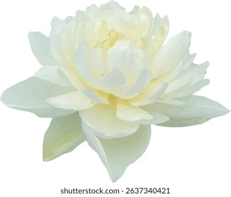 lotus white and bloom design
