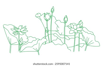 The lotus,Vietnam - The lotus,Vietnam - The lotus,Vietnam