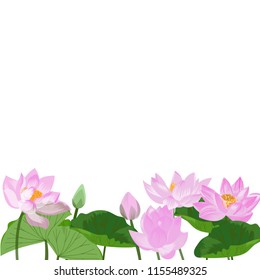 Lotus,Waterlily , Flower Frame,Hand drawn.