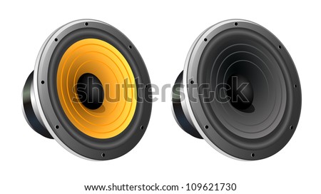 Loudspeaker vector