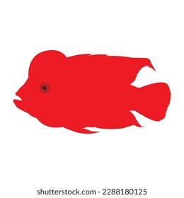 louhan fish icon vector illustration symbol design