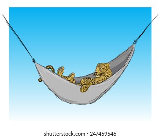 lounging leopard in a hammock in a zoo relaxing leopard lazy big cat