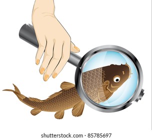 loupe magnifying objects (magnifying glass lens vector image)