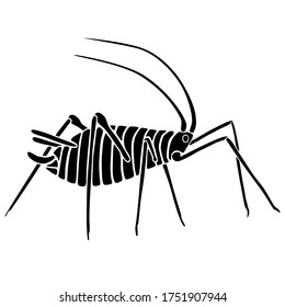 Piedra en blanco y negro. Aphid utilizable como logotipo firme, afiche o signo. Datos vectoriales ajustables o modificables.