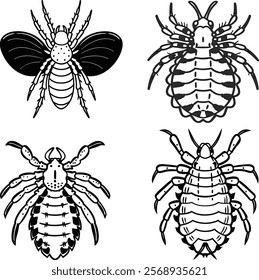 Louse bundle line art and illustrator eps