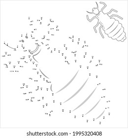 Louse Icon Connect The Dots, Lice Icon, Wingless Insect, Obligate Parasite, Puzzle Containing A Sequence Of Numbered Dots Vector Art Illustration