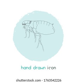 Louse icon line element. Vector illustration of louse icon line isolated on clean background for your web mobile app logo design.