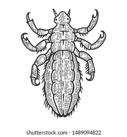 Louse insect sketch engraving vector illustration. Scratch board style imitation. Black and white hand drawn image.