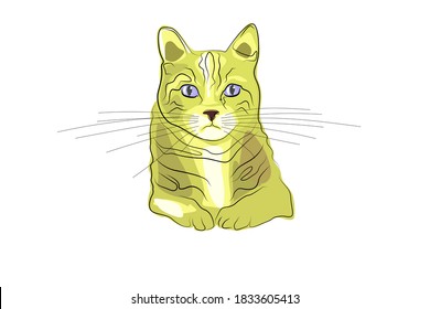 lovable cute colorful abstract of cat vector illustration
