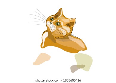 lovable cute colorful abstract of cat vector illustration