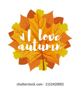 I love autumn design with leaves. Vector template