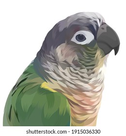 
love bird because this bird only separates from its partner when one of them dies.