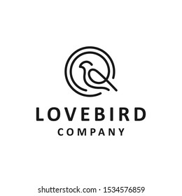 love bird logo design vector