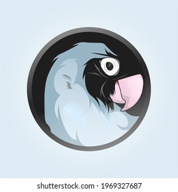 love bird logo design vector or team illustration
