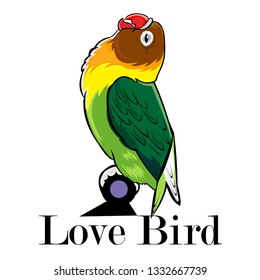 love bird vector