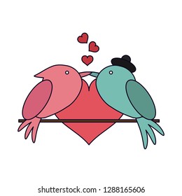 Love and birds