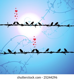 Love, birds kissing on branch