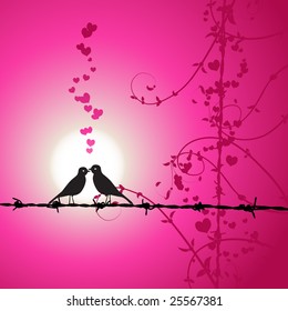 Love, birds kissing on branch