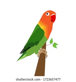 Love birds perch on the tree, isolated on a white background. parrot vector illustration. 