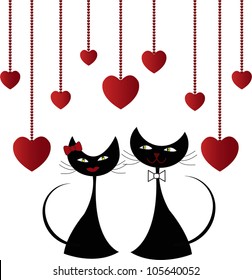 Love black cats