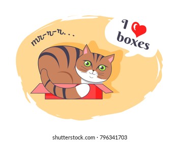 I love boxes beautiful kitty vector illustration of cat with black stripes and green eyes sitting in small pink box, isolated on white background
