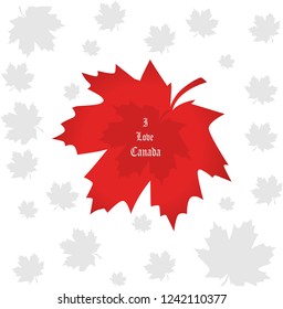 I love Canada,maple leafs design vector illustration